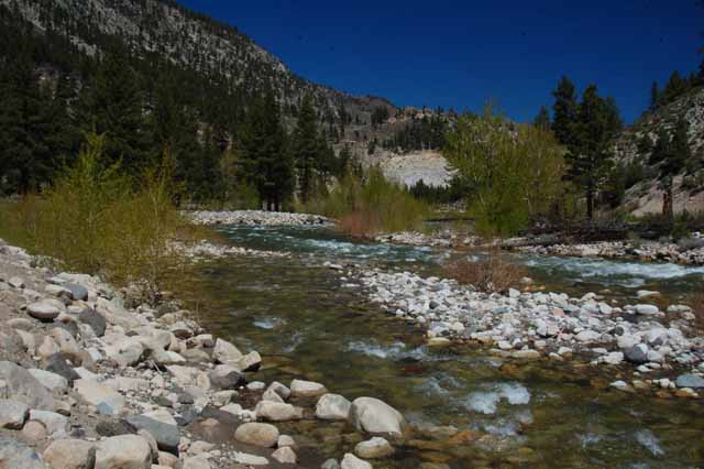 the West Walker River